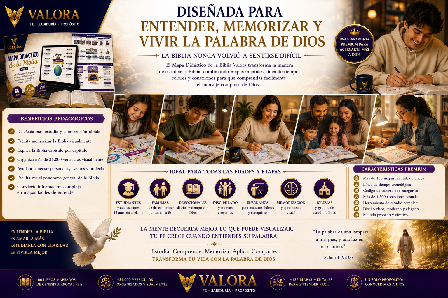 Diseñada para todas las edades